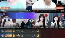 番号91直播,揭秘热门直播平台的魅力与挑战