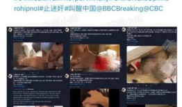 国内直播自拍91,热门现象背后的故事与影响